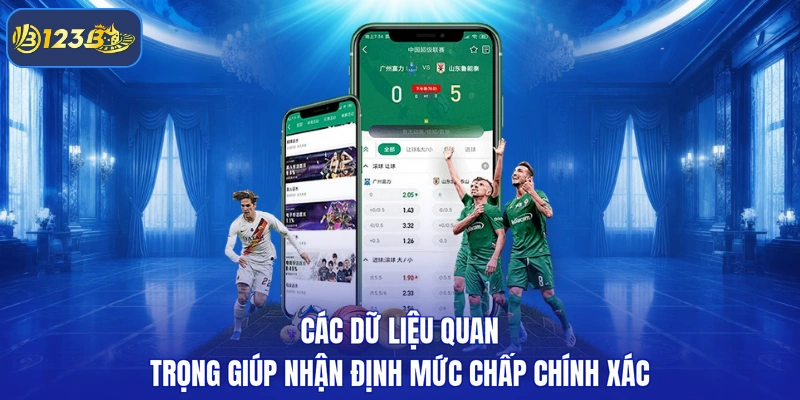 Các dữ liệu quan trọng giúp nhận định mức chấp chính xác