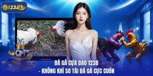 Đá gà cựa dao