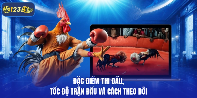 Đặc điểm thi đấu, tốc độ trận đấu và cách theo dõi
